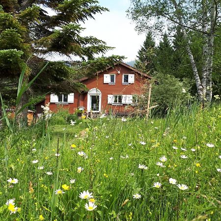 Chalet Chic Wildhaus Exterior foto