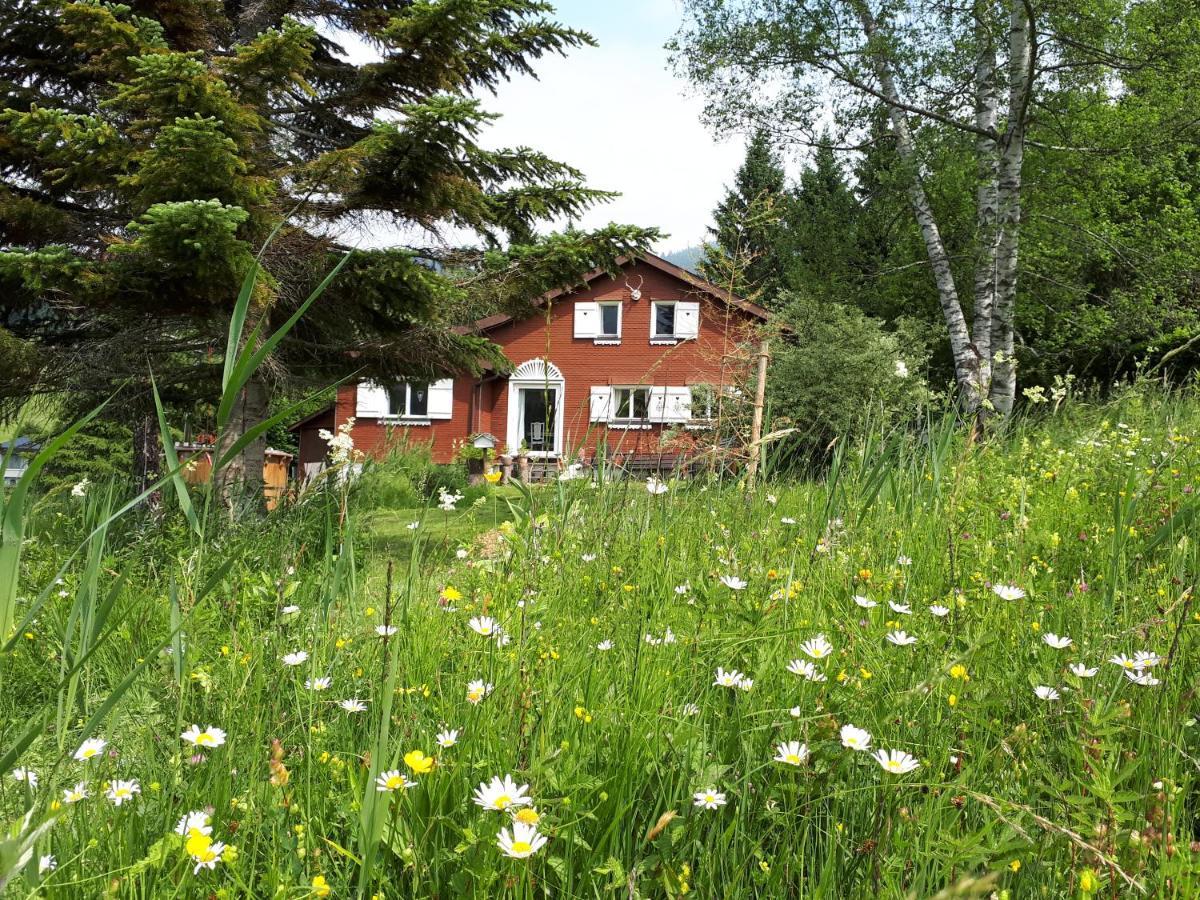 Chalet Chic Wildhaus Exterior foto
